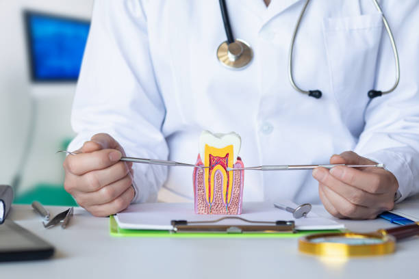 Best Emergency Cosmetic Dentistry in Blue Jay, OH